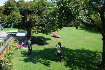 Apple trees in the hostel yard, Yummy!