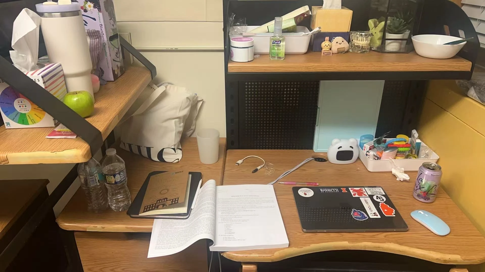 Clean Tidy Neat Organized…