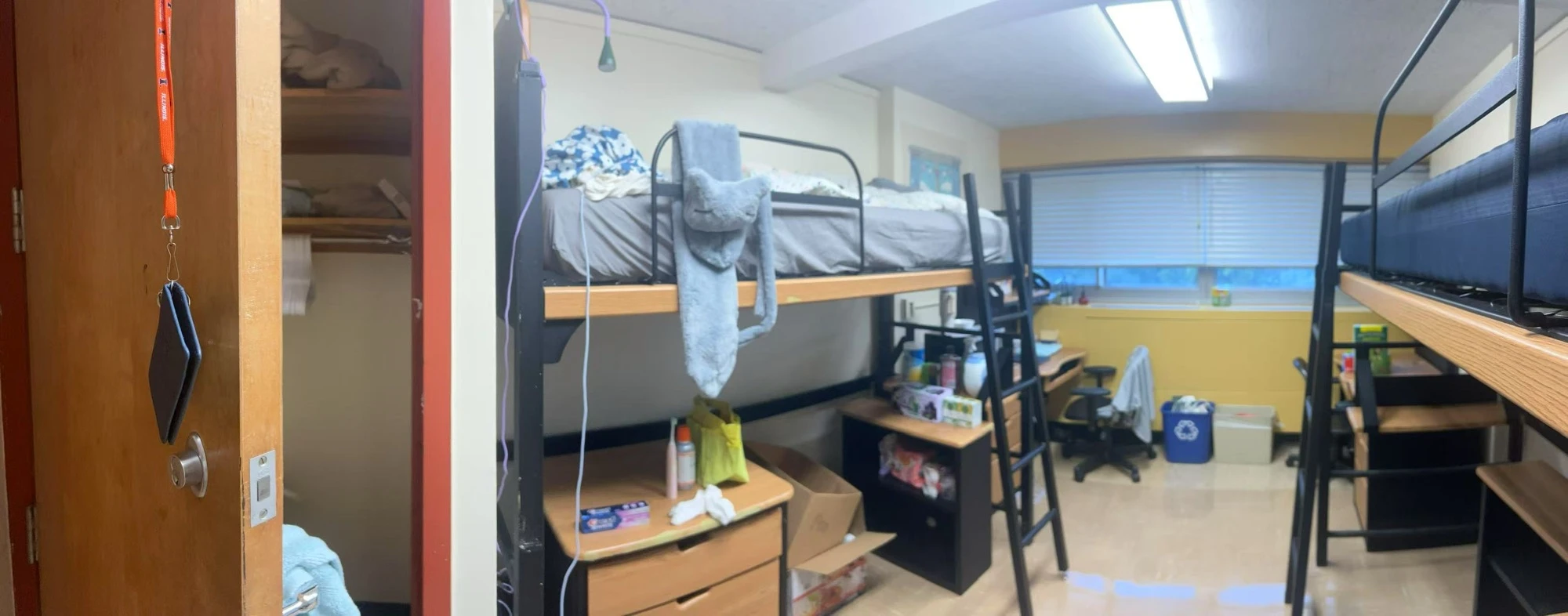 Move in! My First year Dorm room
